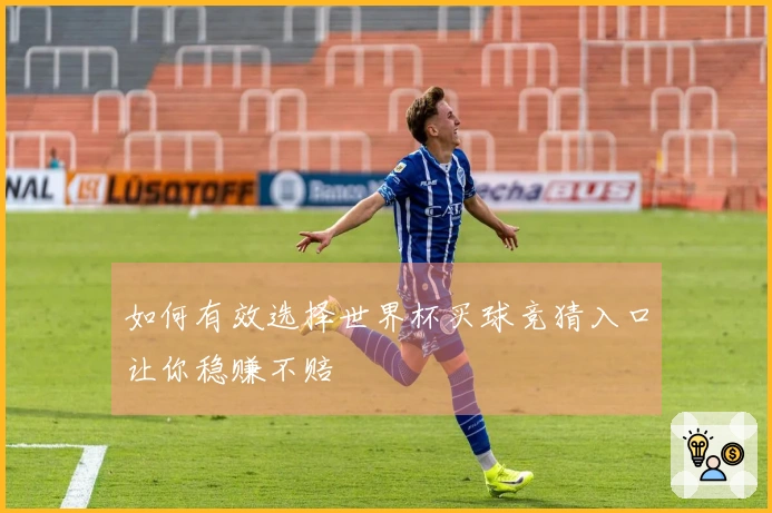 如何有效选择世界杯买球竞猜入口让你稳赚不赔