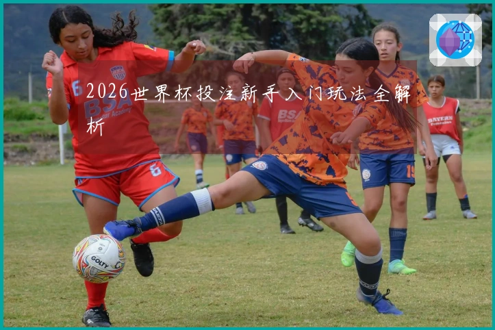 2026世界杯投注新手入门玩法全解析
