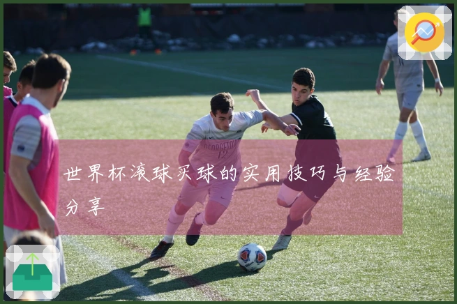 世界杯滚球买球的实用技巧与经验分享