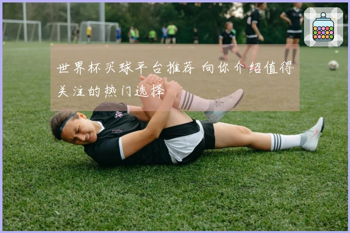 世界杯买球平台推荐 向你介绍值得关注的热门选择