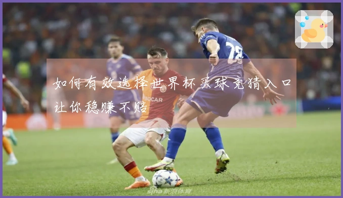 如何有效选择世界杯买球竞猜入口让你稳赚不赔